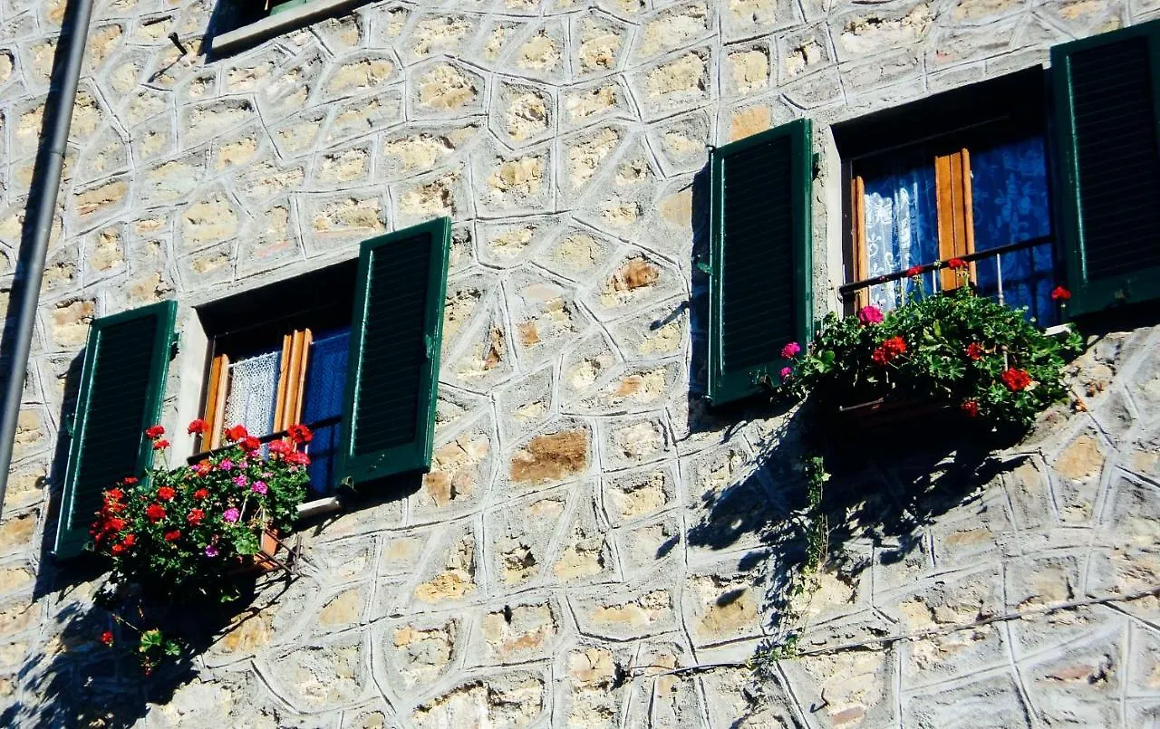 Andante Appartamenti Castelnuovo di Val di Cecina Italy
