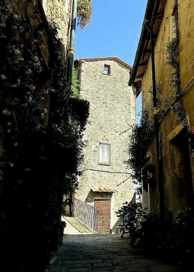 Andante Appartamenti Castelnuovo di Val di Cecina Italy